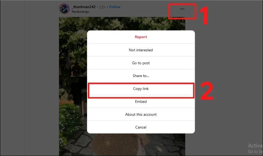 Tải ảnh Instagram online với SaveIG