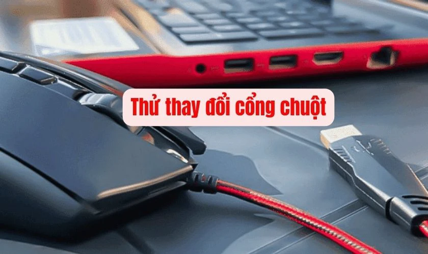 Thử thay đổi cổng chuột