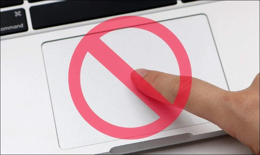 Tại sao chuột cảm ứng laptop kh&ocirc;ng thể di chuyển v&agrave; Click được? 