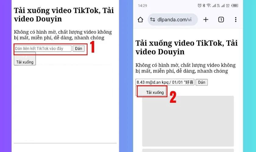 Dán đường link Douyin vào ô trống giữa giao diện trang