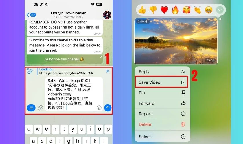 Quay lại khung chat với bot Telegram, dán đường dẫn vào hộp thoại
