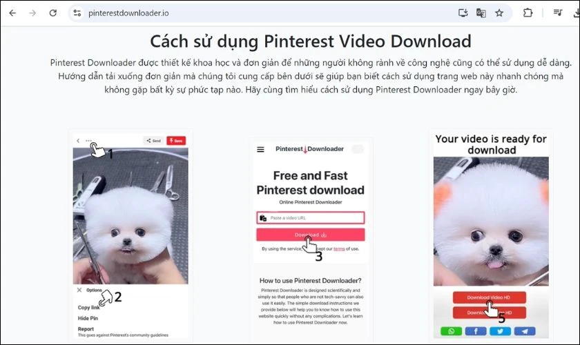 Pinterestdownloader IO