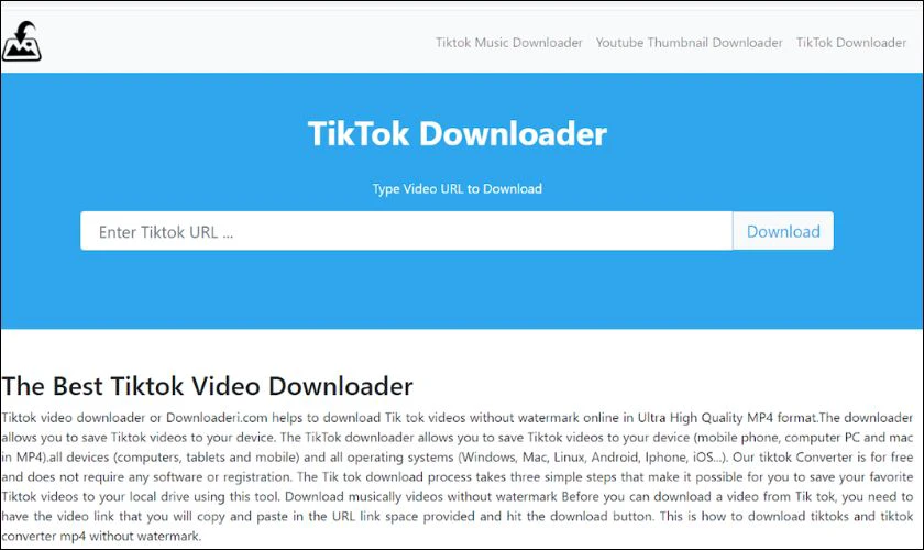 TikTok Downloader