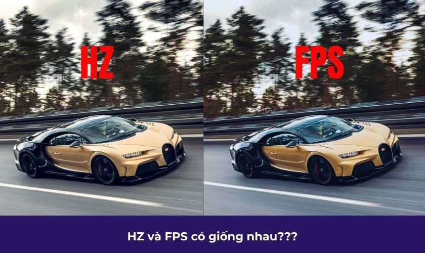 Tần số qu&eacute;t c&oacute; giống với FPS hay kh&ocirc;ng?