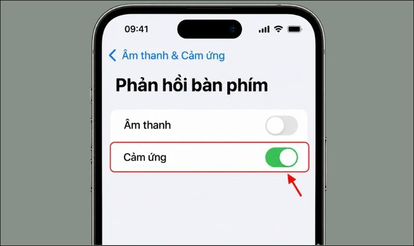 Chọn Phản hồi bàn phím, bật Cảm ứng (Haptic)