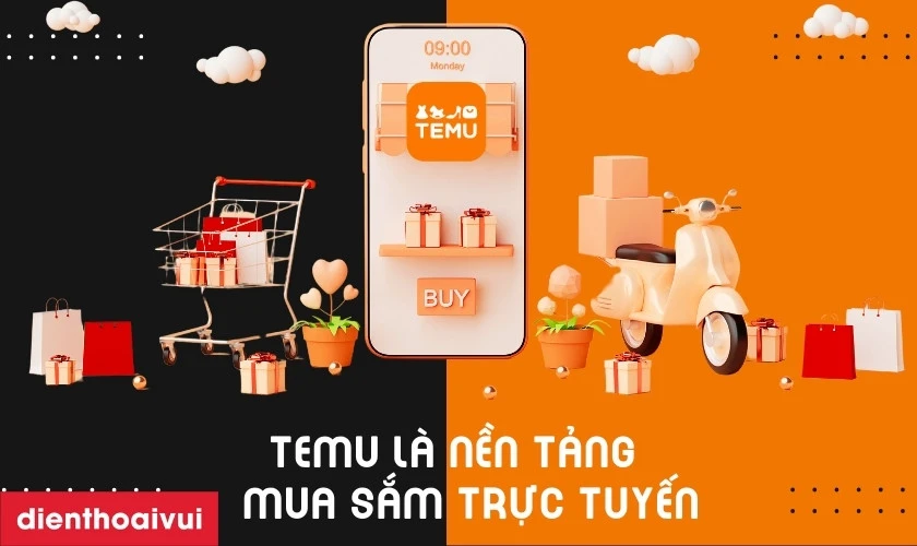 Temu l&agrave; g&igrave;?