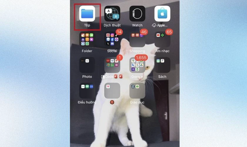 C&aacute;ch tạo tệp mới tr&ecirc;n iPhone