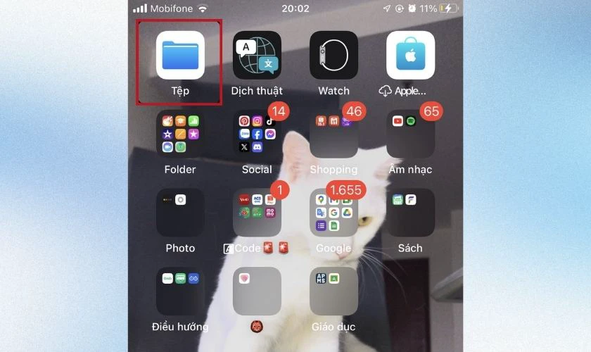C&aacute;ch x&oacute;a v&agrave; kh&ocirc;i phục tệp tr&ecirc;n iPhone