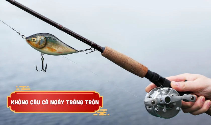 Tết Nguyên tiêu không nên câu cá, sát sanh