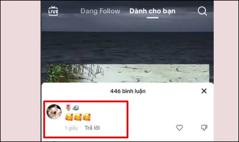 Biểu tượng cảm x&uacute;c tr&ecirc;n video TikTok sẽ hiển thị ở đ&acirc;u trong phần b&igrave;nh luận?