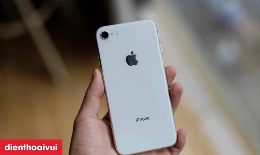 Tổng quan về camera sau iPhone 8