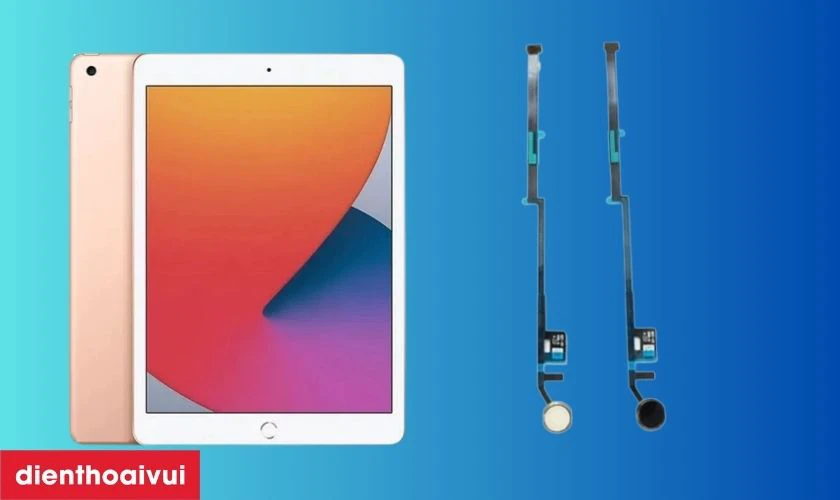 Thay c&aacute;p home iPad Gen 8 10.2 2020 c&oacute; cần thiết kh&ocirc;ng?