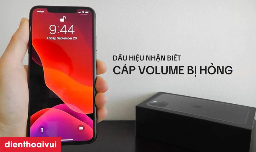 Dấu hiệu nhận biết c&aacute;p volume iPhone 11 bị hỏng