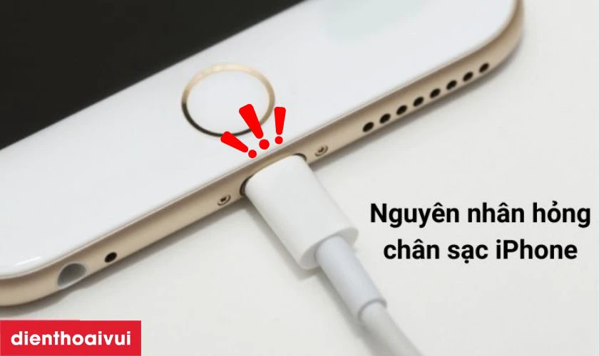 Nguyên nhân chân sạc điện thoại iPhone 7 Plus bị hư hỏng