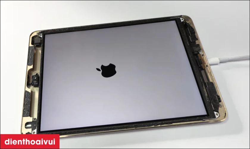 Tại sao bạn cần thay ch&acirc;n sạc iPad Air 5