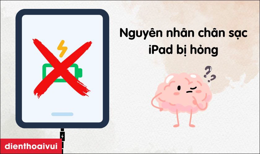 Nguy&ecirc;n nh&acirc;n ch&acirc;n sạc iPad Gen 5 2017 bị hư hỏng