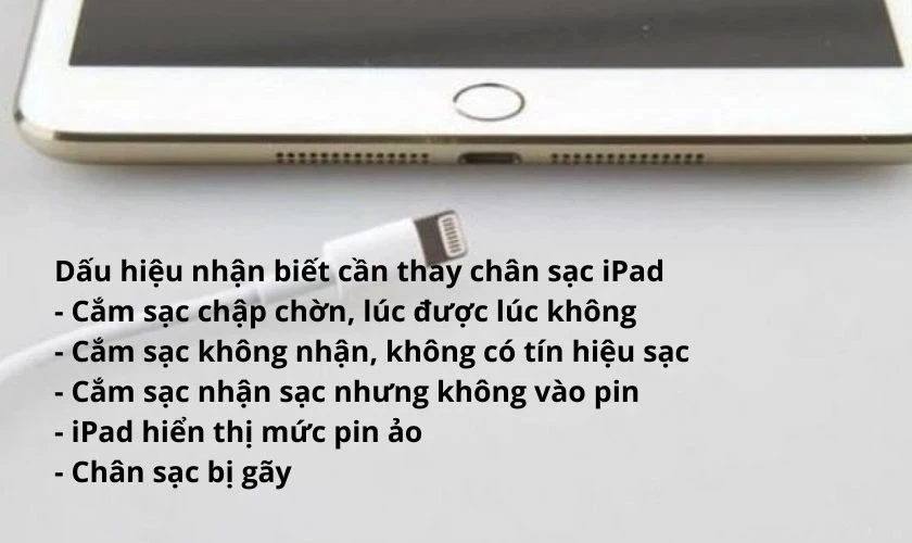 dấu hiệu ch&acirc;n sạc ipad bị hư