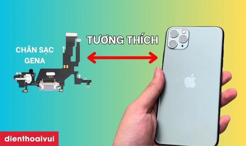 C&oacute; n&ecirc;n thay ch&acirc;n sạc iPhone 11 ch&iacute;nh h&atilde;ng GENA kh&ocirc;ng?