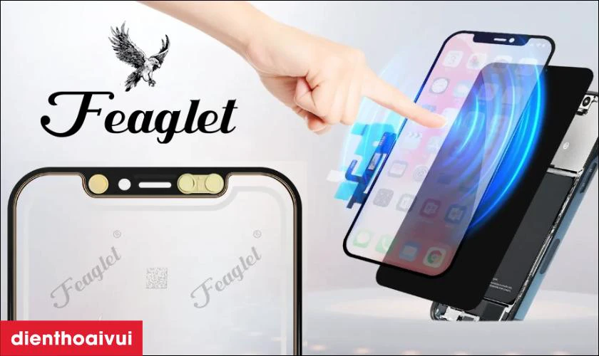 Thay &eacute;p k&iacute;nh ch&iacute;nh h&atilde;ng Feaglet l&agrave; g&igrave;?