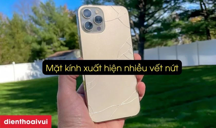 K&iacute;nh lưng bị nứt