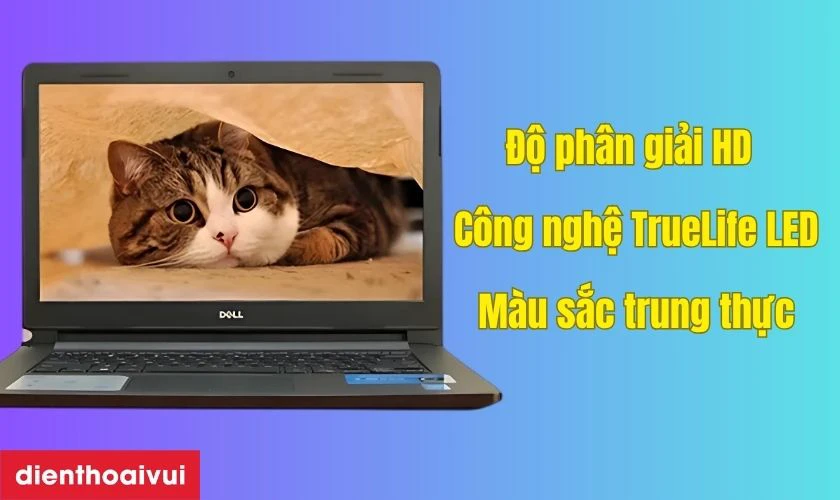 Đặc điểm nổi bật của m&agrave;n h&igrave;nh Dell Inspiron 3458