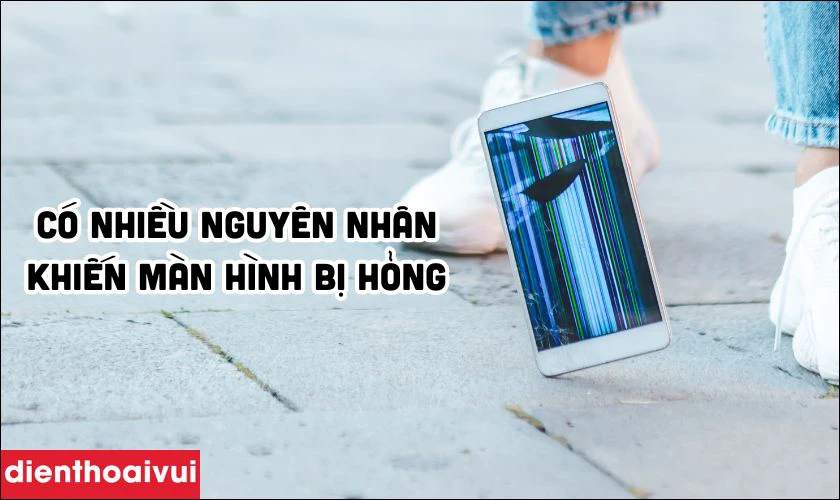 Ảnh hưởng từ m&ocirc;i trường