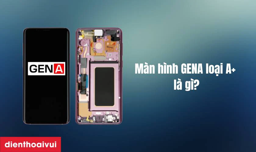 M&agrave;n h&igrave;nh GENA loại A+ l&agrave; g&igrave;?