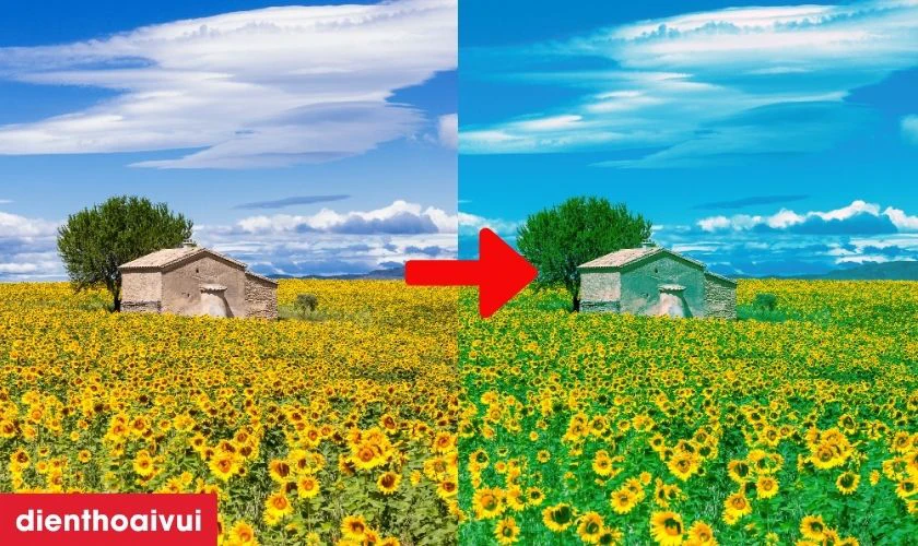 Hiển thị m&agrave;u điện thoại kh&ocirc;ng chuẩn