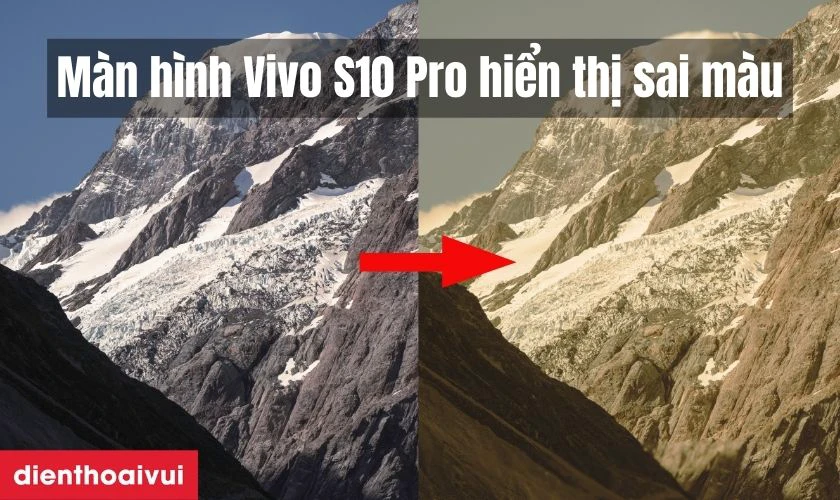 M&agrave;n h&igrave;nh Vivo S10 Pro bị lỗi hiển thị