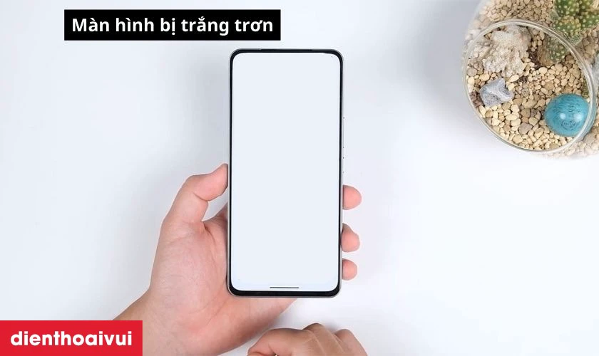 M&agrave;n h&igrave;nh kh&ocirc;ng hiển thị h&igrave;nh, bị trắng trơn