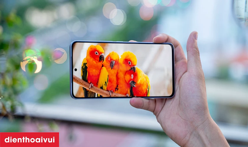 Giới thiệu tổng quan m&agrave;n h&igrave;nh điện thoại Vivo V29E