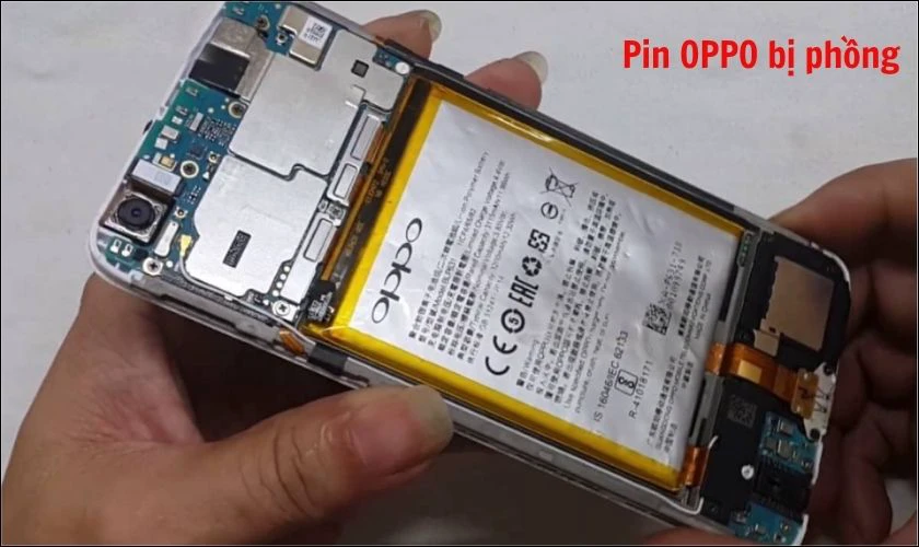 Địa chỉ thay pin OPPO giá rẻ, đáng tin cậy tại Bình Dương