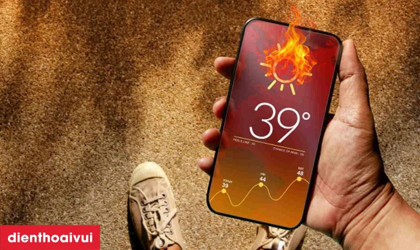 Ảnh hưởng bởi môi trường