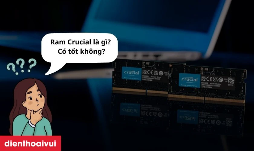 Ram Crucial là gì? Có tốt cho laptop không?