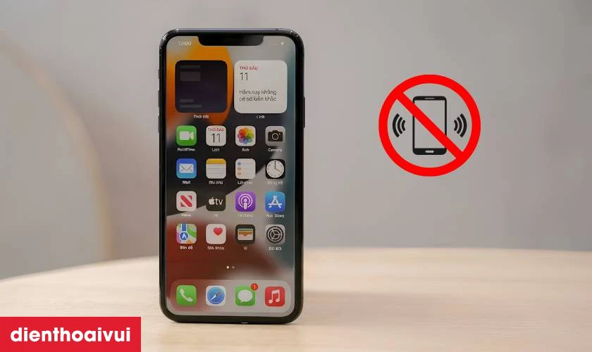 Khi n&agrave;o cần thay rung iPhone 11 Pro Max?