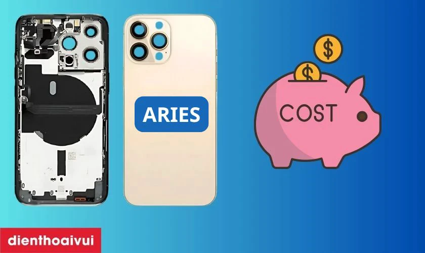C&oacute; n&ecirc;n thay vỏ iPhone 13 Pro Max 5G ch&iacute;nh h&atilde;ng Aries kh&ocirc;ng?