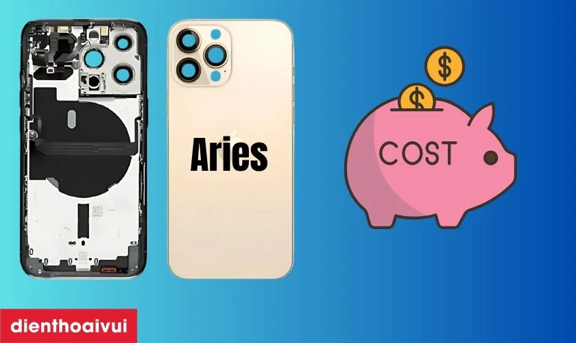 C&oacute; n&ecirc;n thay vỏ iPhone 13 Pro Max 5G ch&iacute;nh h&atilde;ng Aries kh&ocirc;ng?
