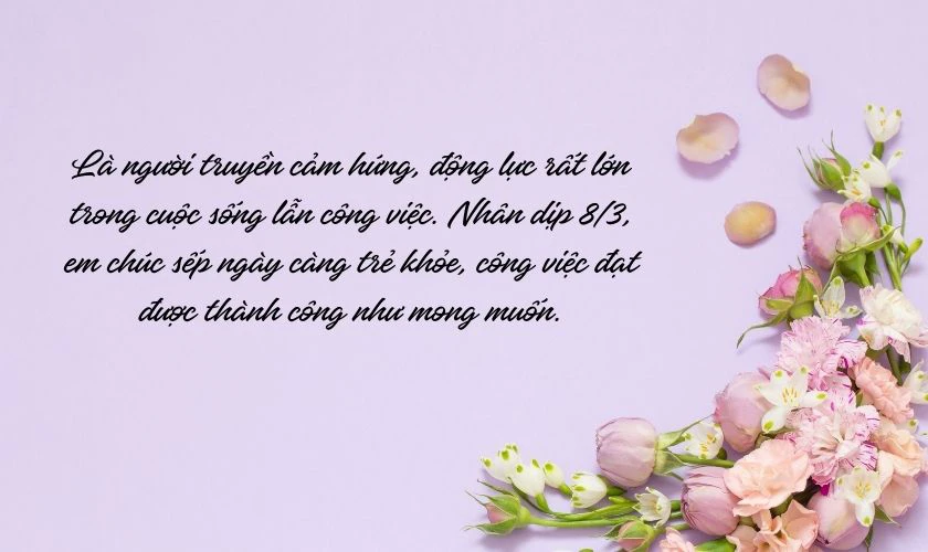 Cảm ơn sự dìu dắt của sếp