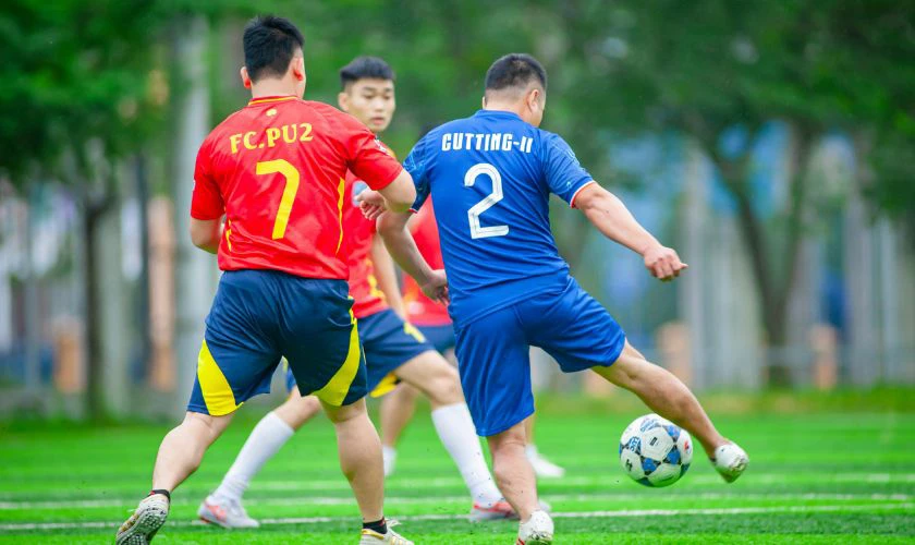 Tham gia các hoạt động thể thao ngoài trời