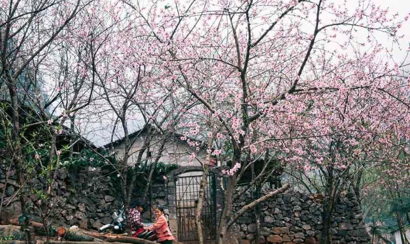 Hà Giang là điểm đến hấp dẫn dịp Tết