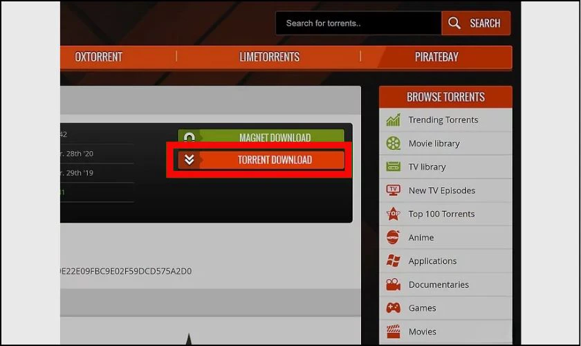 Tiếp tục nhấn Torrent Download để tải về