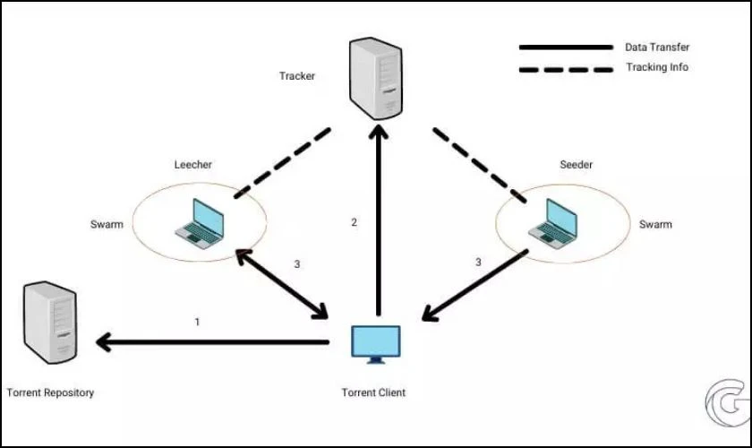 Những thuật ngữ trong Torrent l&agrave; g&igrave;?