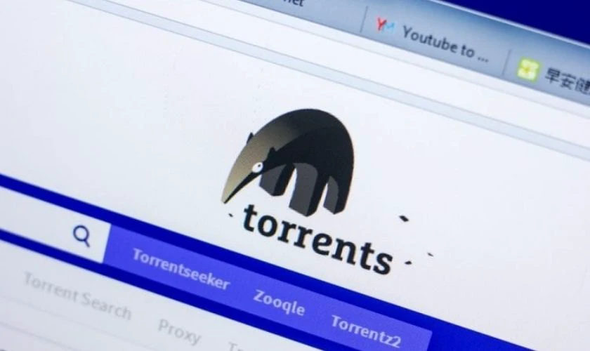 Nhược điểm của Torrent l&agrave; g&igrave;?