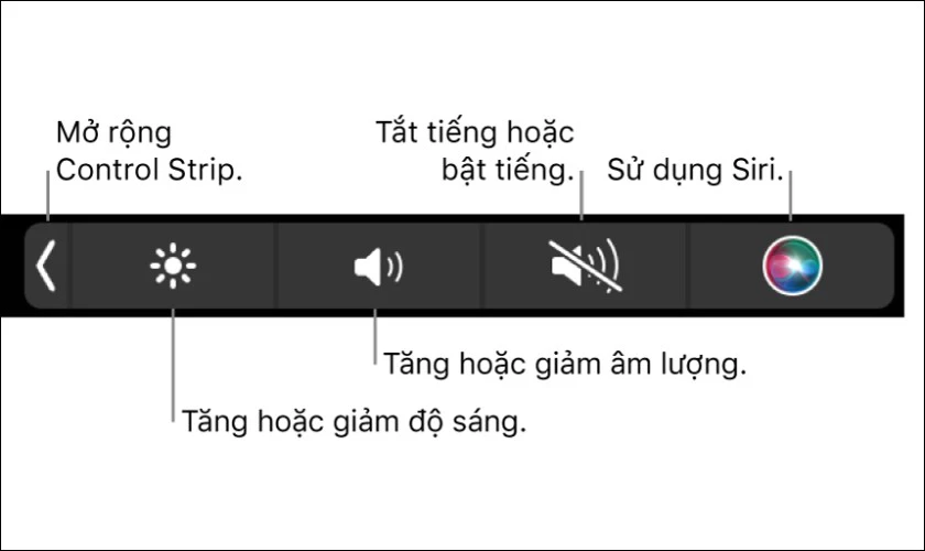 Ưu điểm và nhược điểm