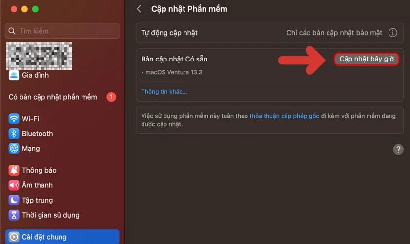 Nhấp v&agrave;o Update Now