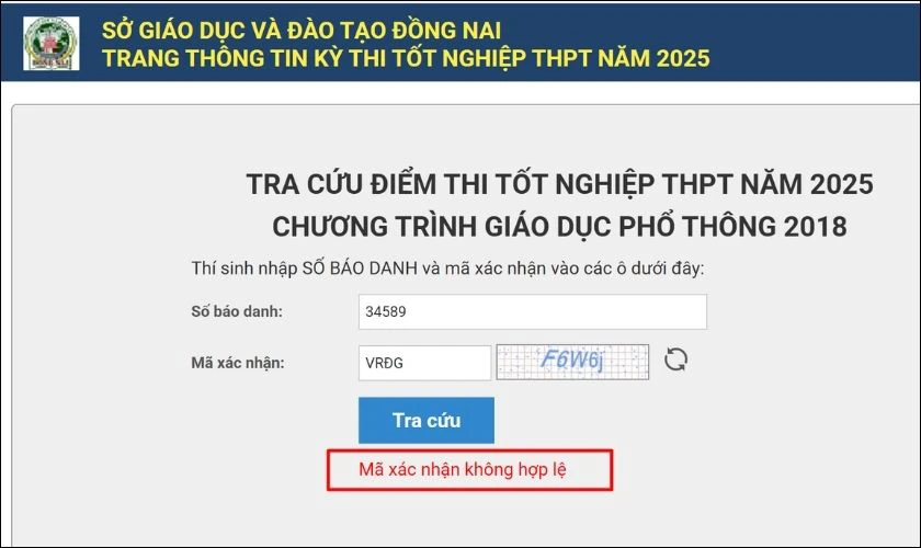 Lỗi thường gặp khi tra cứu điểm thi tốt nghiệp THPT Đồng Nai