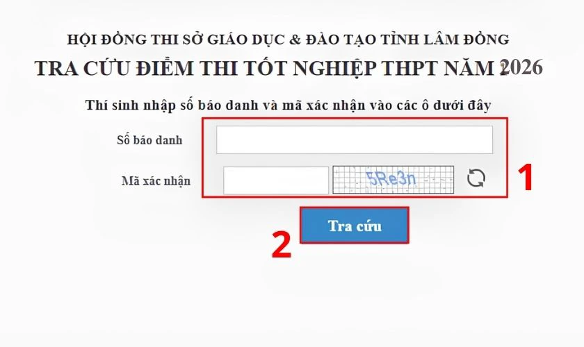 Nhập thông tin và tra cứu kết quả