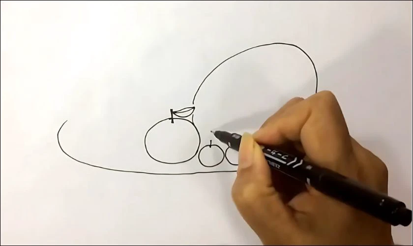 Các bước vẽ mâm ngũ quả ngày Tết - Vẽ các loại trái cây
