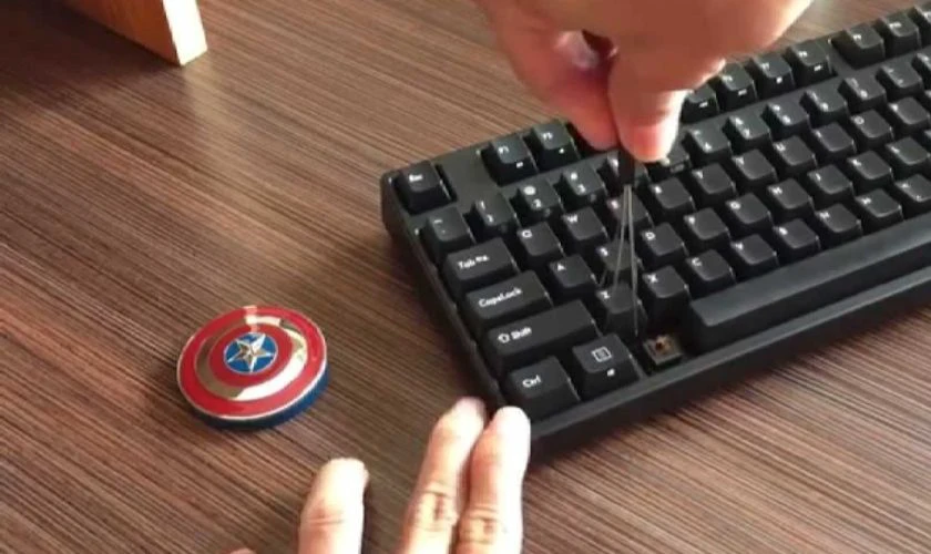L&agrave;m sạch c&aacute;c ph&iacute;m