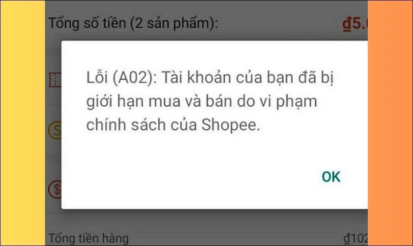 Tại sao kh&ocirc;ng đặt h&agrave;ng được tr&ecirc;n Shopee l&agrave; do lỗi A02